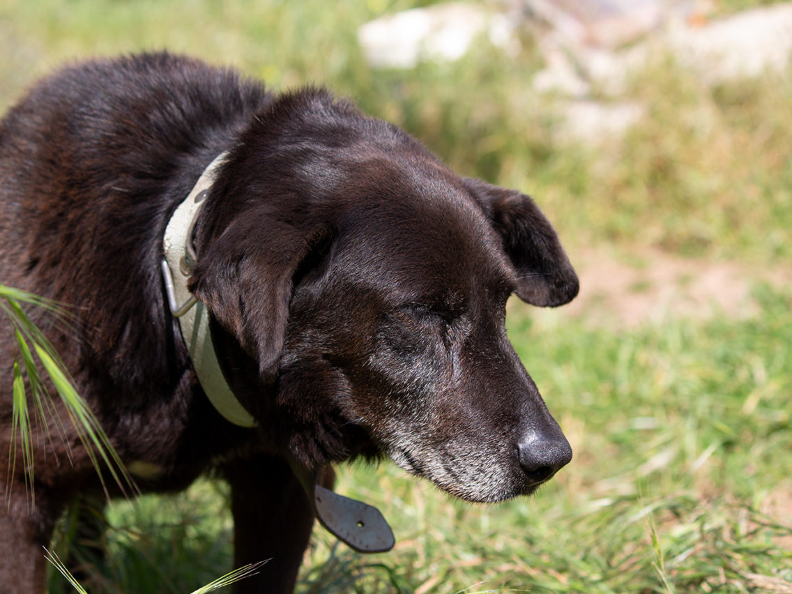 Xarique, 1 maart 2019