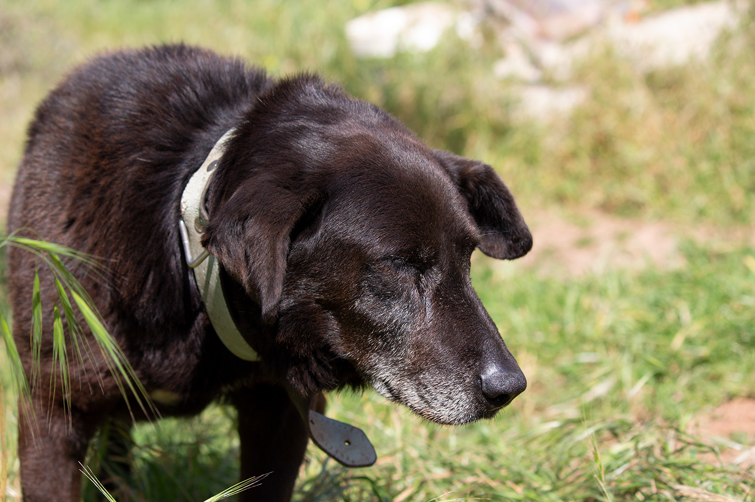 Xarique, 1 maart 2019